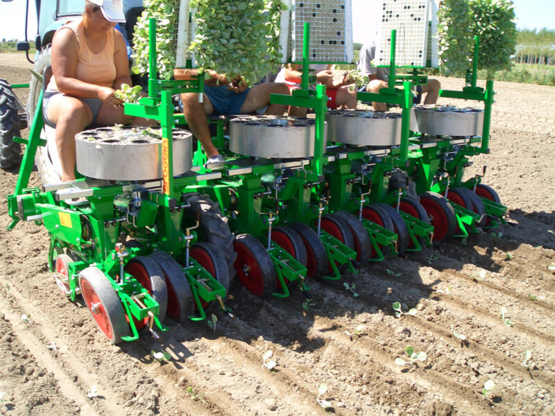 F10 trapiantatrice Sfoggia C10- Chioggia tolomei (9) F10 - C10