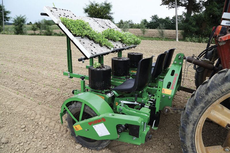 ST9 trapiantatrice semiautomatica Sfoggia 5U0A0027 ST9